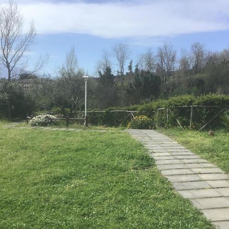 Terzigno Tenuta Terradifuoco מראה חיצוני תמונה